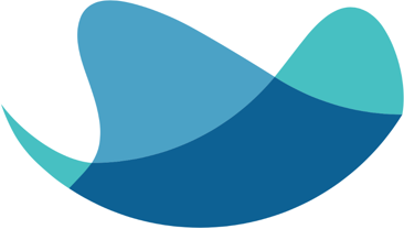 Raynet logo